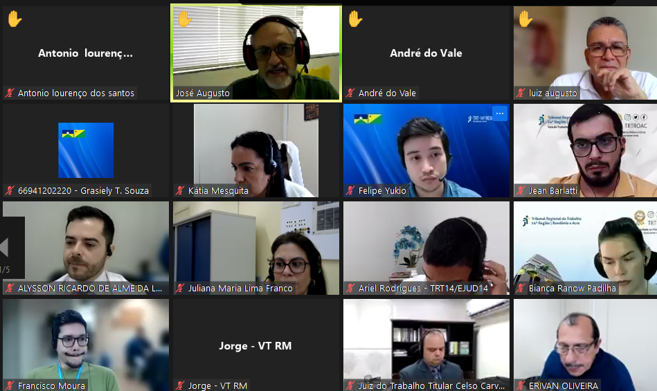 Print da tela do  webinar