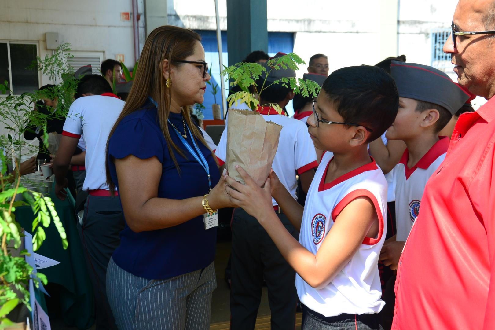 Distribuição de mudas durante campanha Junho Verde