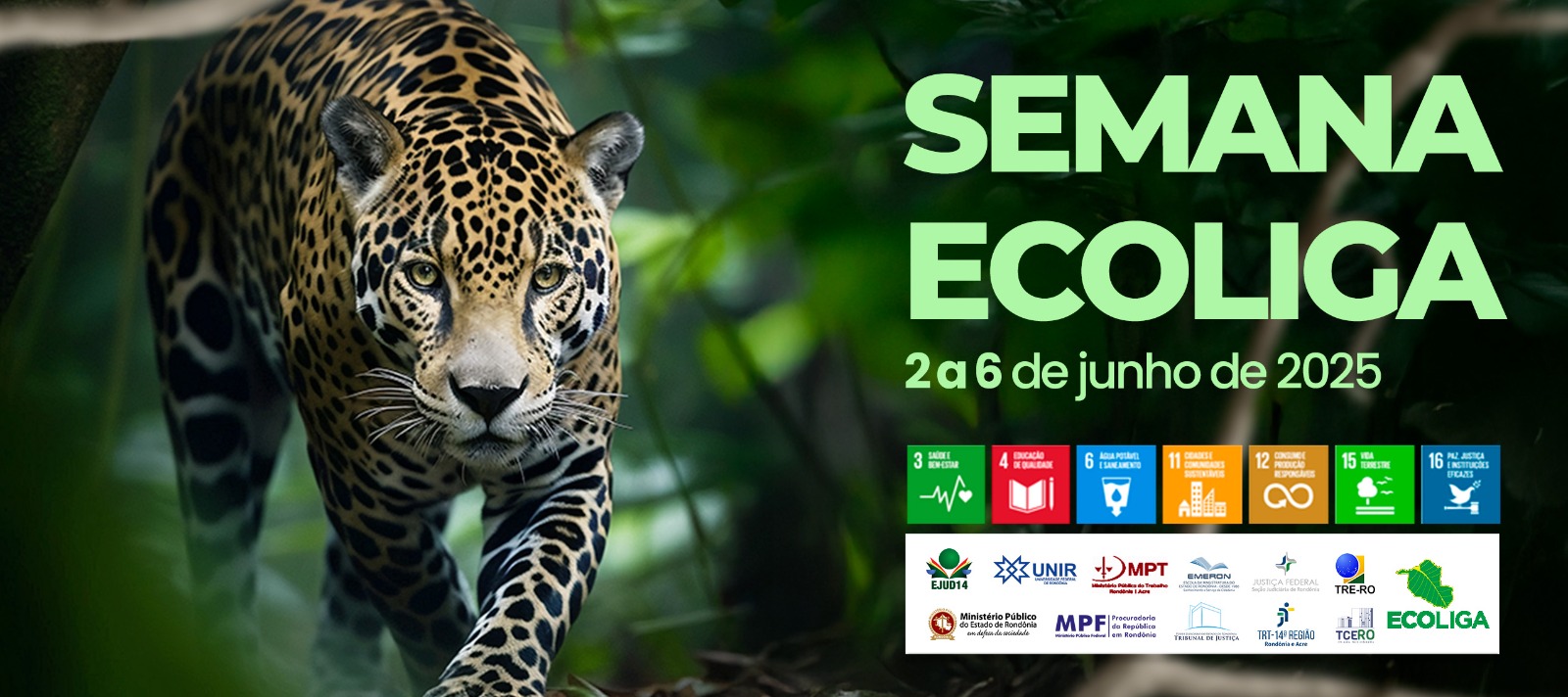 TRT-14 participa da Semana Ecoliga em alusão ao Mês do Meio Ambiente